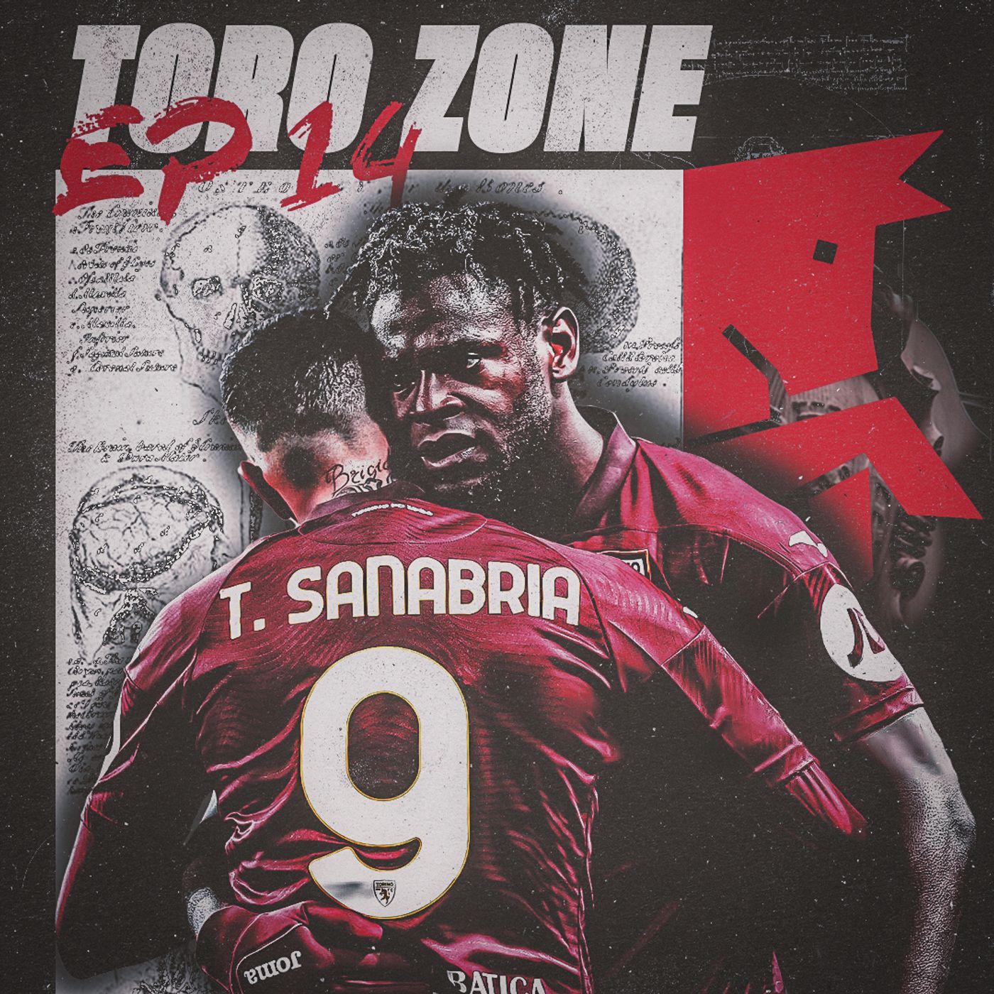 Toro Zone