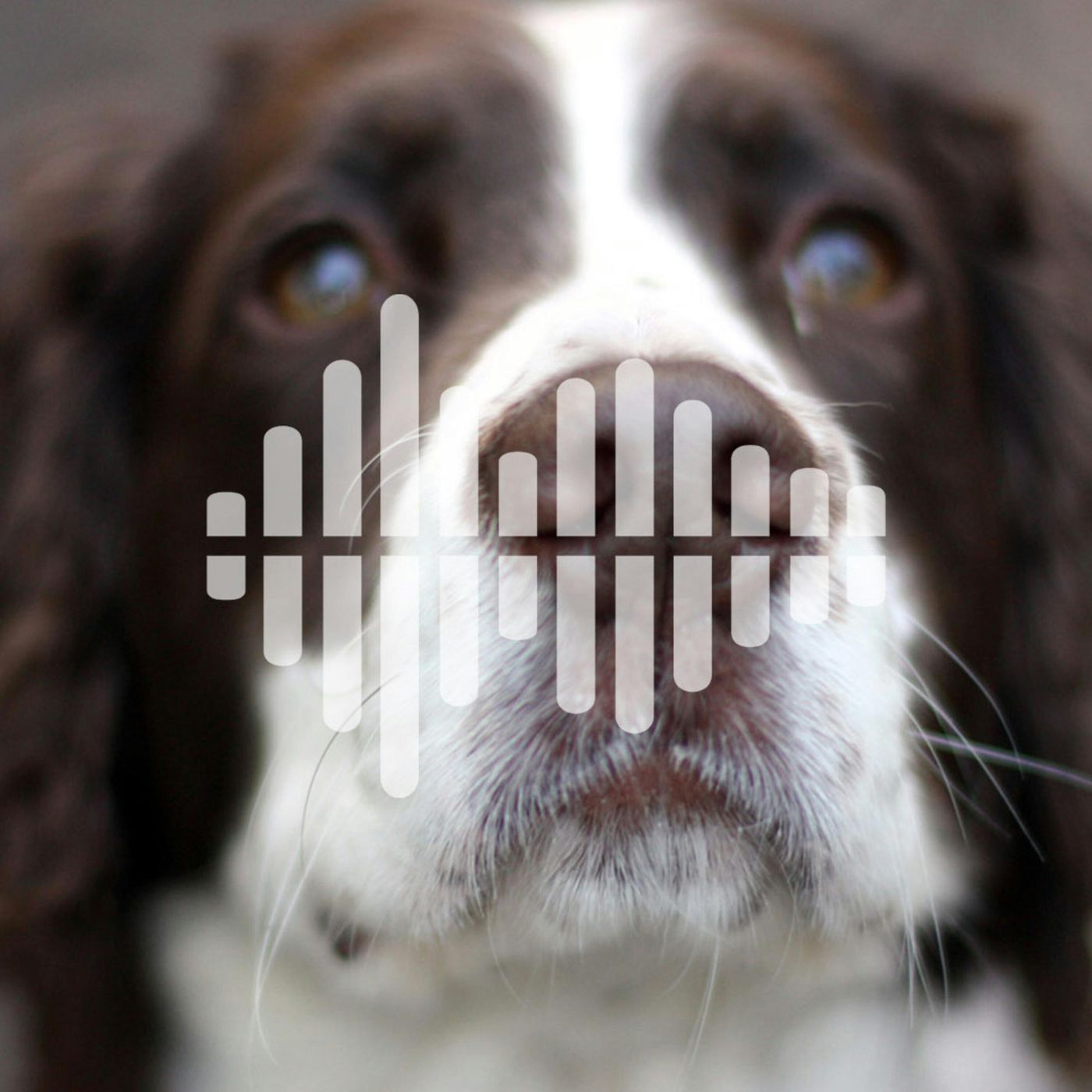 Science Time Podcast