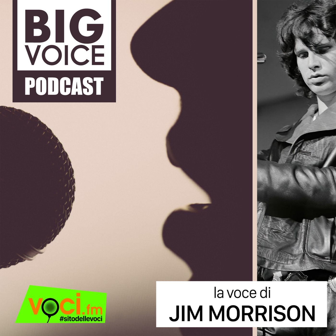 BIG VOICE PODCAST: Jim Morrison - clicca play e ascolta il podcast episode artwork