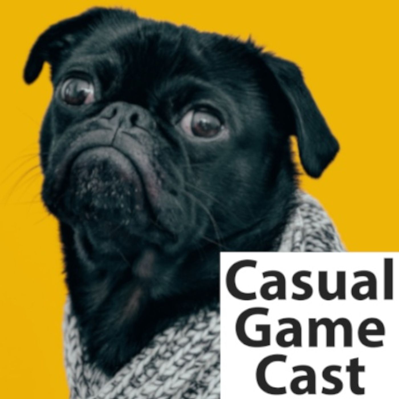 Casual Game Cast