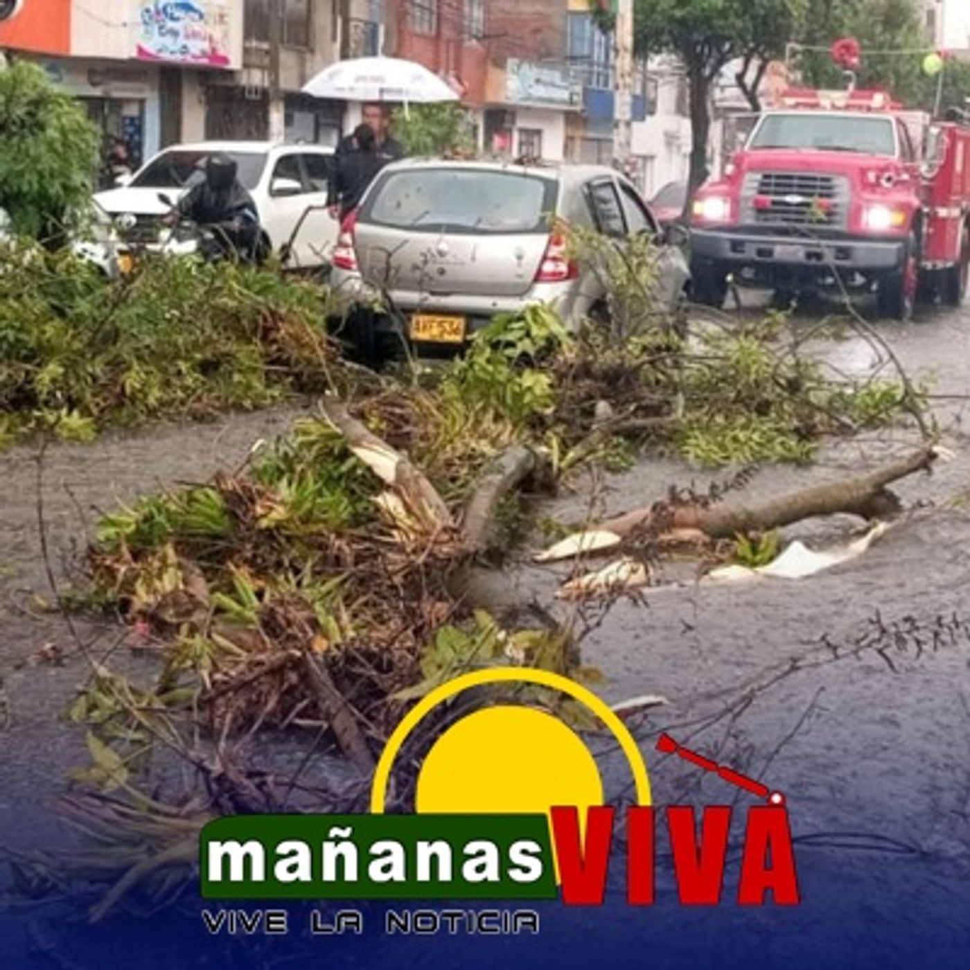 Inician cierres parciales en Ipiales para realizar podas preventivas en Ipiales