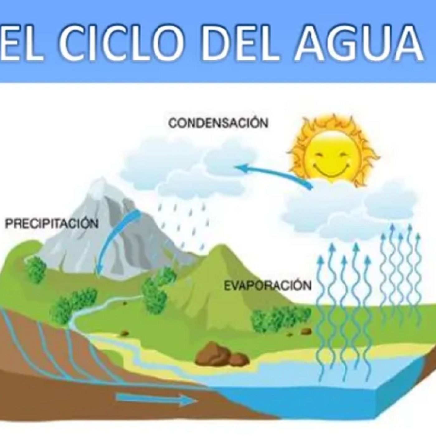 Aprendemos el ciclo del agua podcast artwork