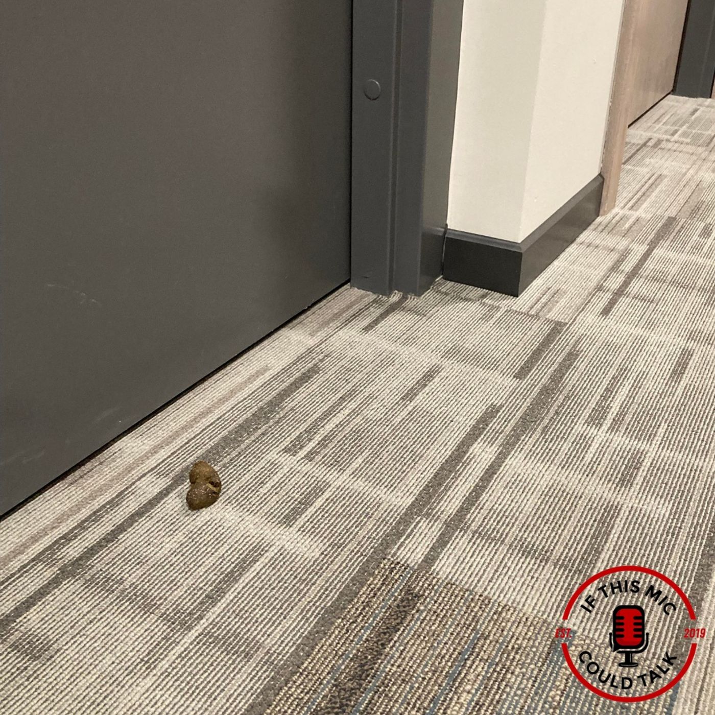 Episode 344 | "Poop In The Hallway"