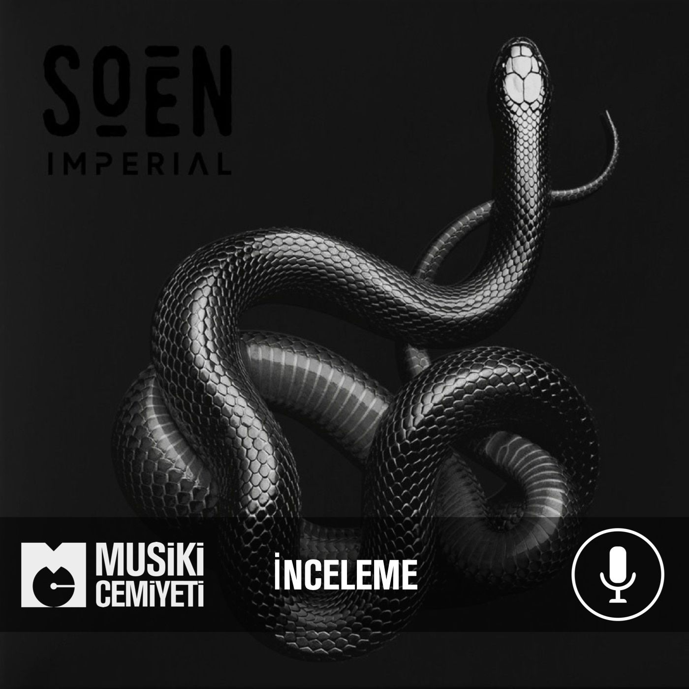 Musiki Cemiyeti