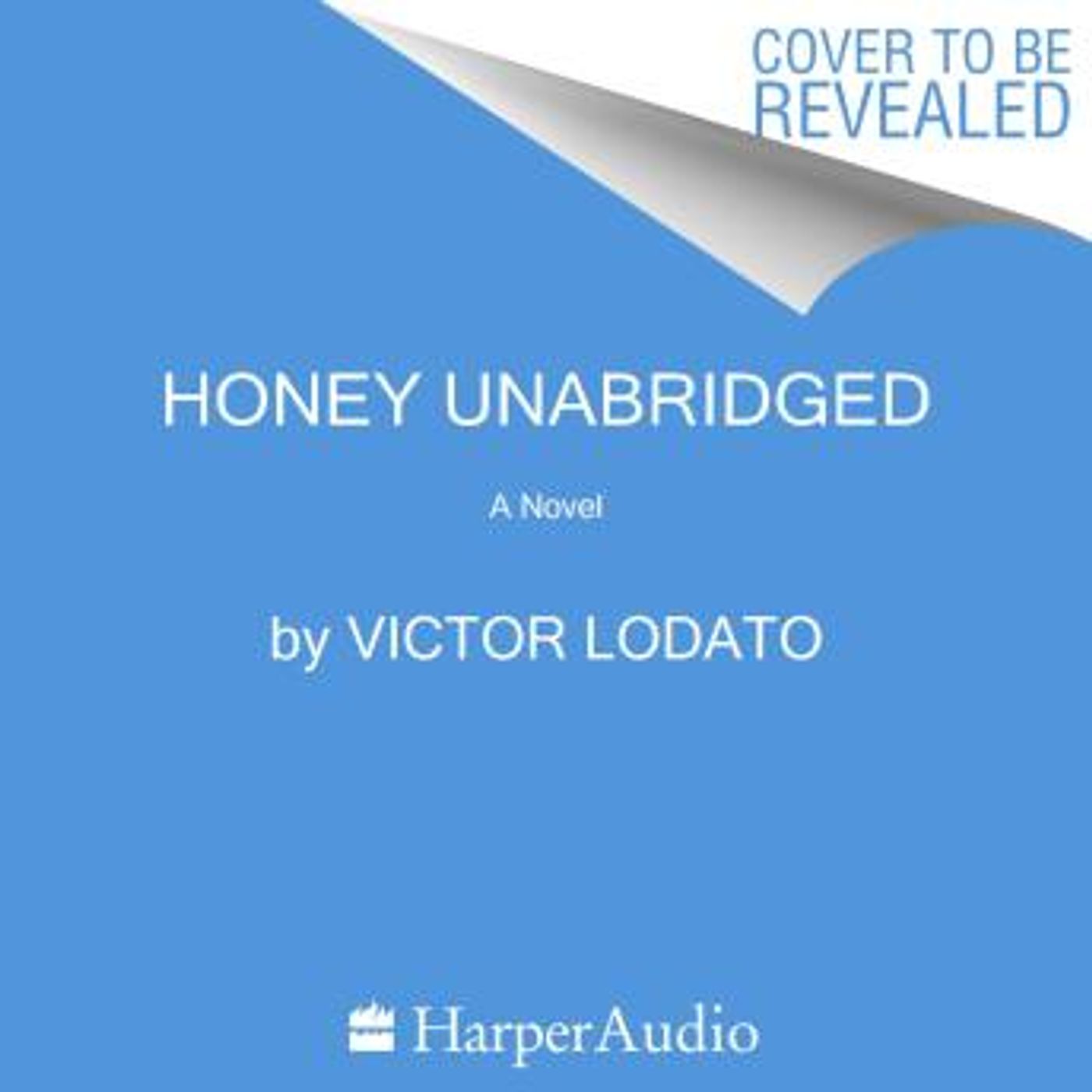 Honey: A Novel by Victor Lodato episode artwork