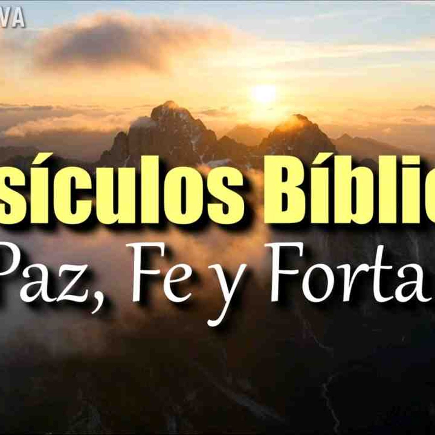 Versículos  Bíblicos que te llenarán de Paz_ Fe y Fortaleza _ Biblia hablada _ Bible audio(MP3_160K) episode artwork