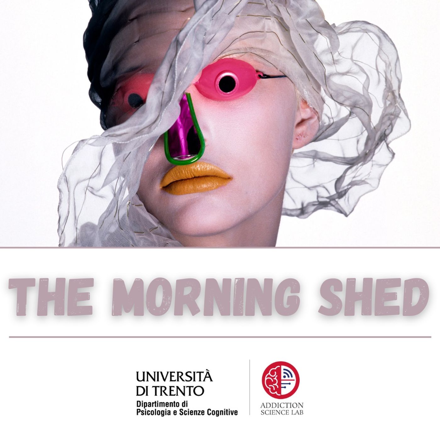 The morning shed episode artwork