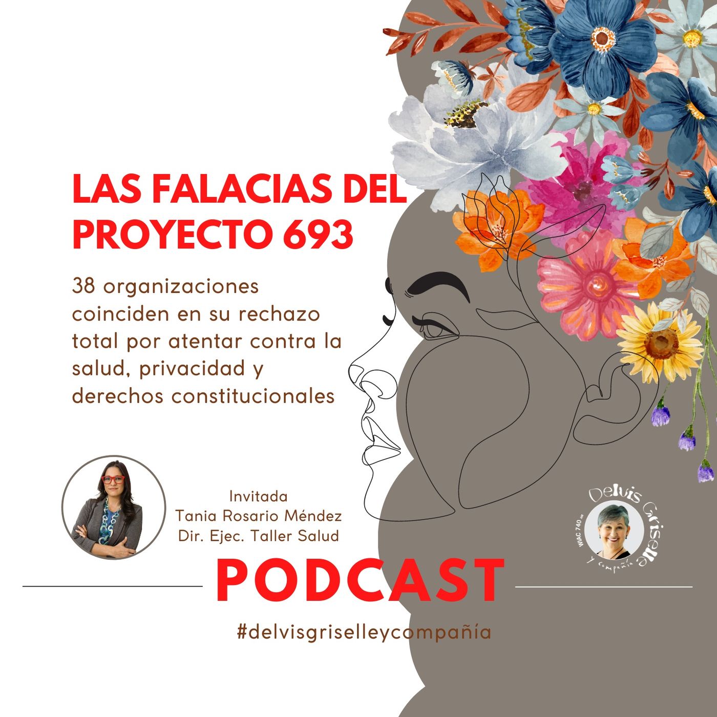 Las falacias del proyecto 693 episode artwork
