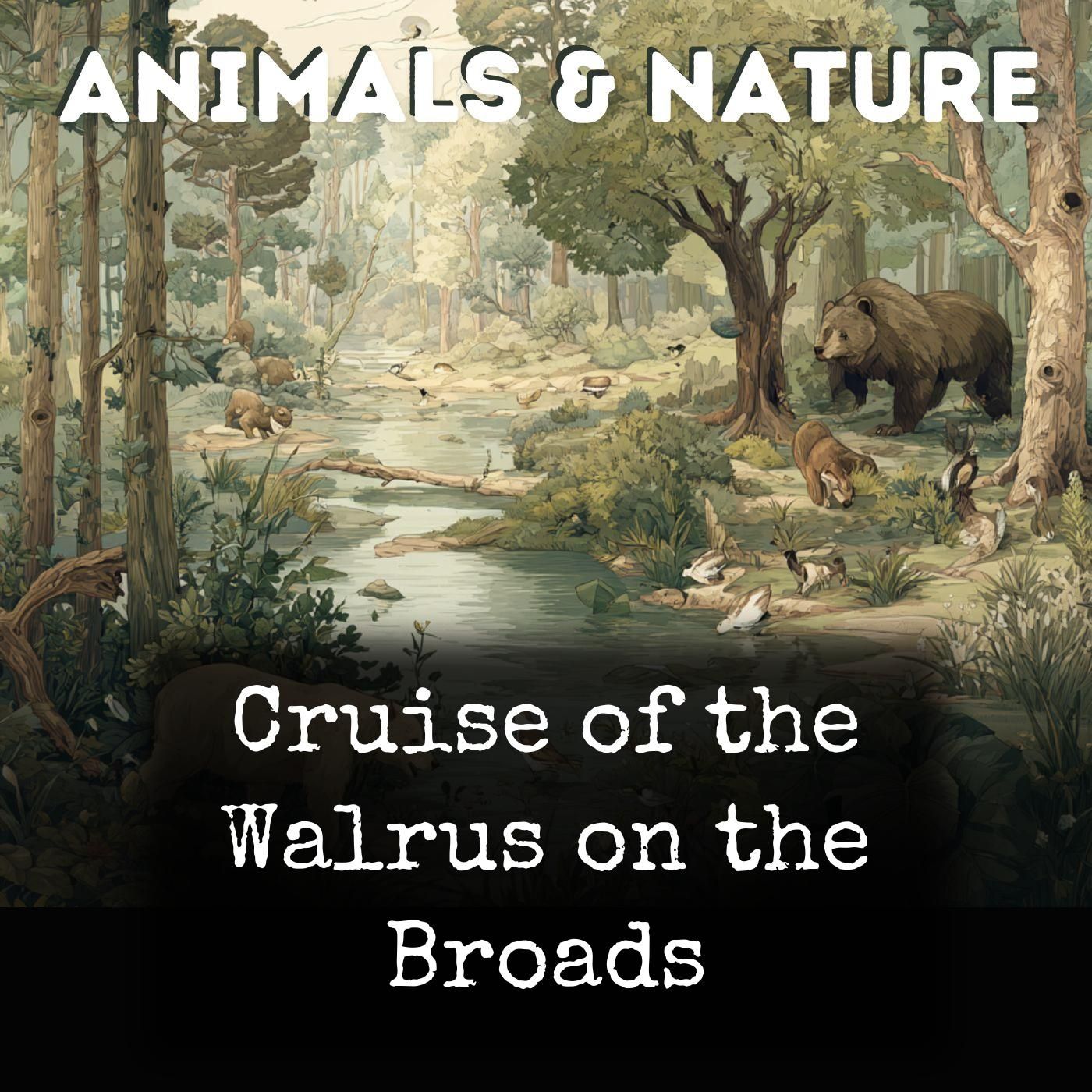 Cruise of the Walrus on the Broads cover art