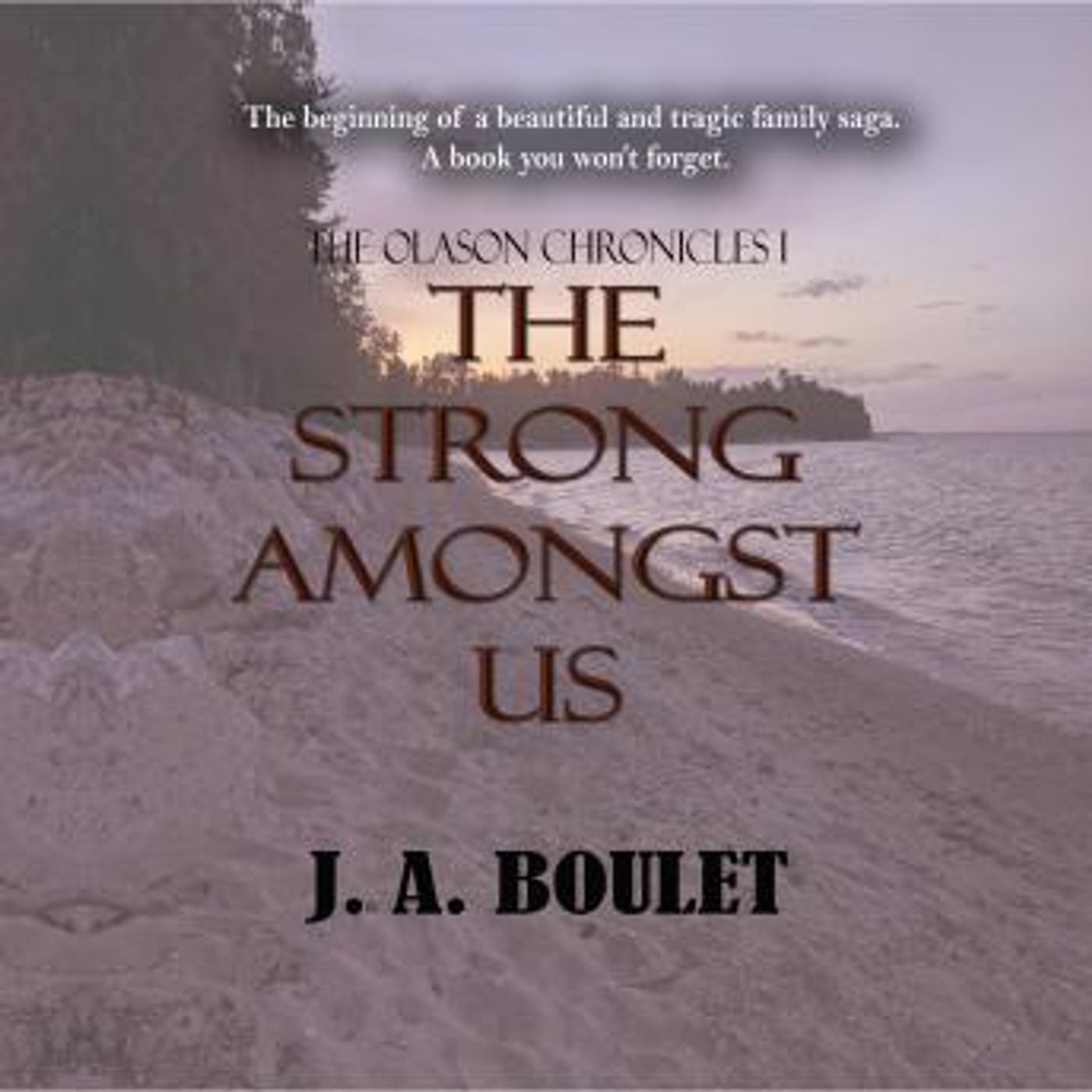 The Strong Amongst Us: Bk 1 The Olason Chronicles by J. A. Boulet episode artwork