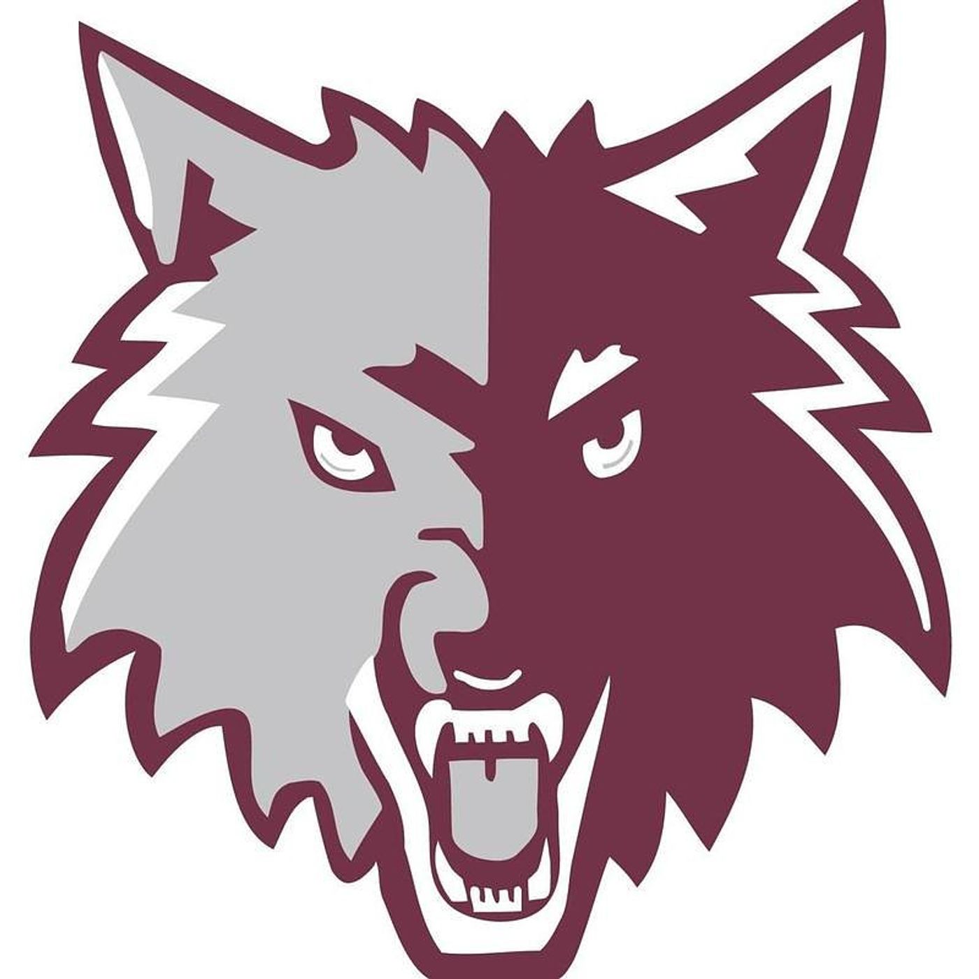 Owen Satterlee throws two-hit shutout as Prairie Ridge beats Cary-Grove: Tuesday’s Northwest Herald roundup episode artwork
