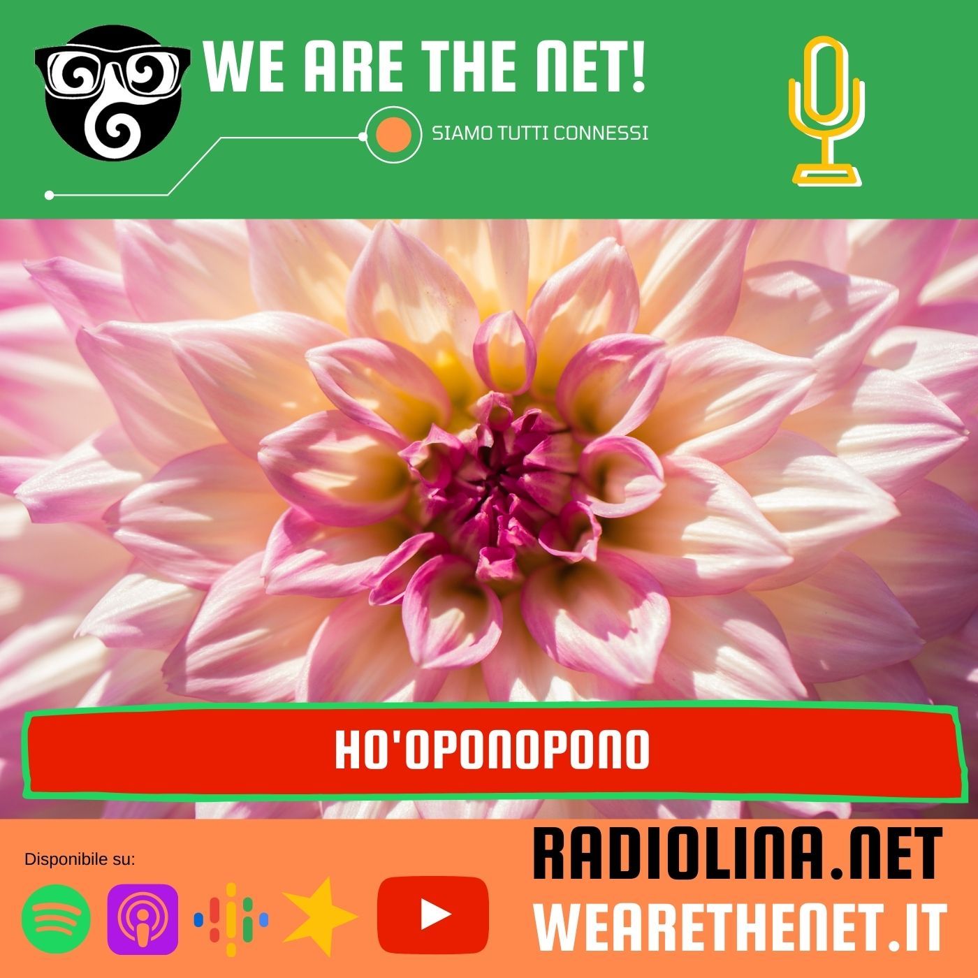 We are the Net