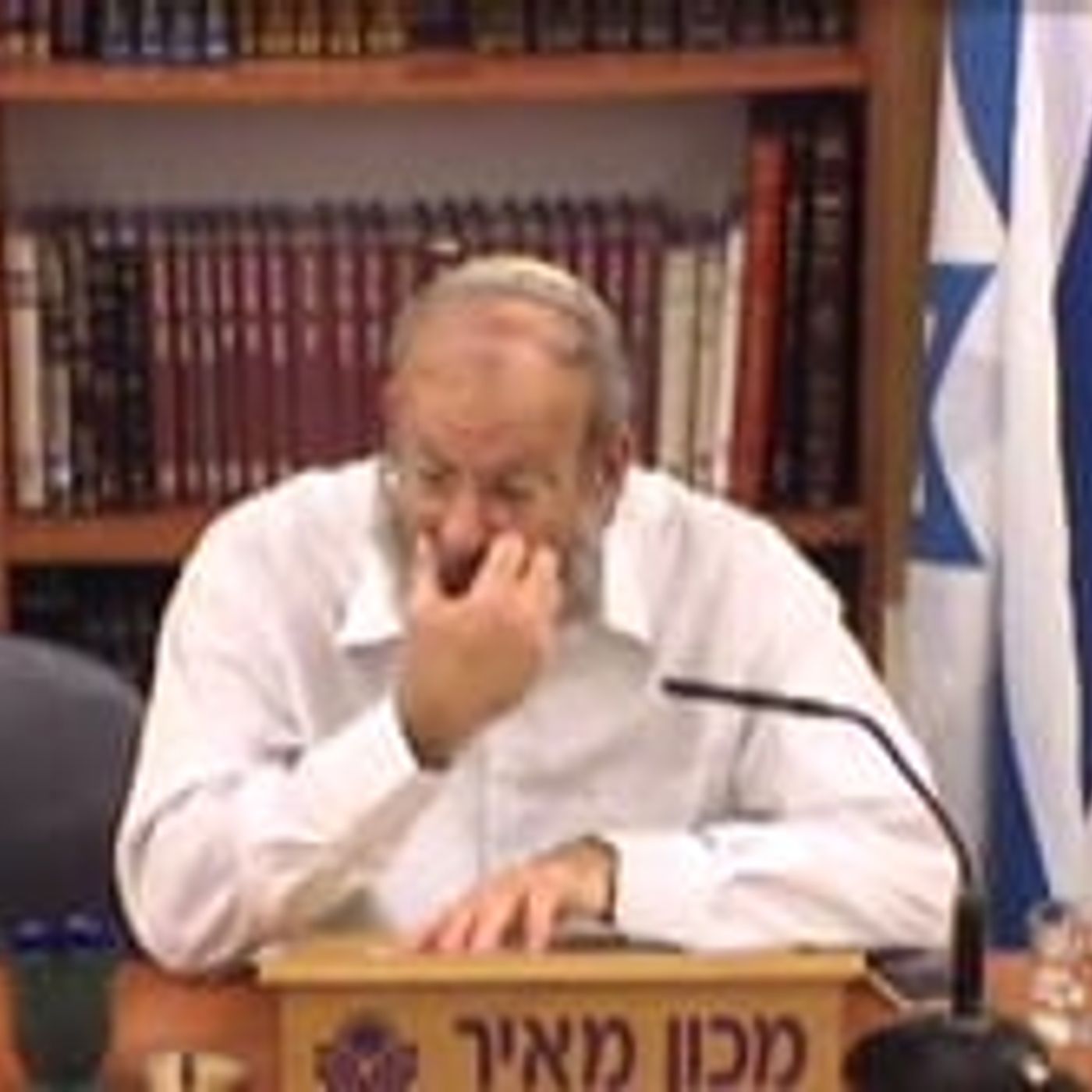 ונהפוך הוא אשר ישלטו היהודים המה בשונאיהם episode artwork
