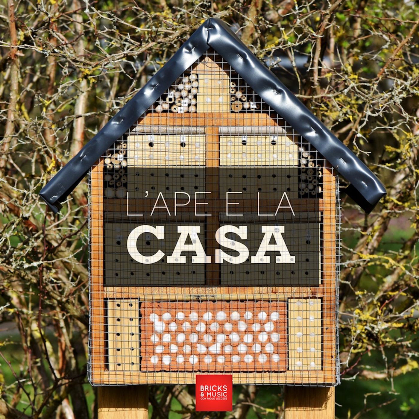 BM - Puntata n. 62 - L' A.P.E. (attestato di prestazione energetica) e la casa episode artwork