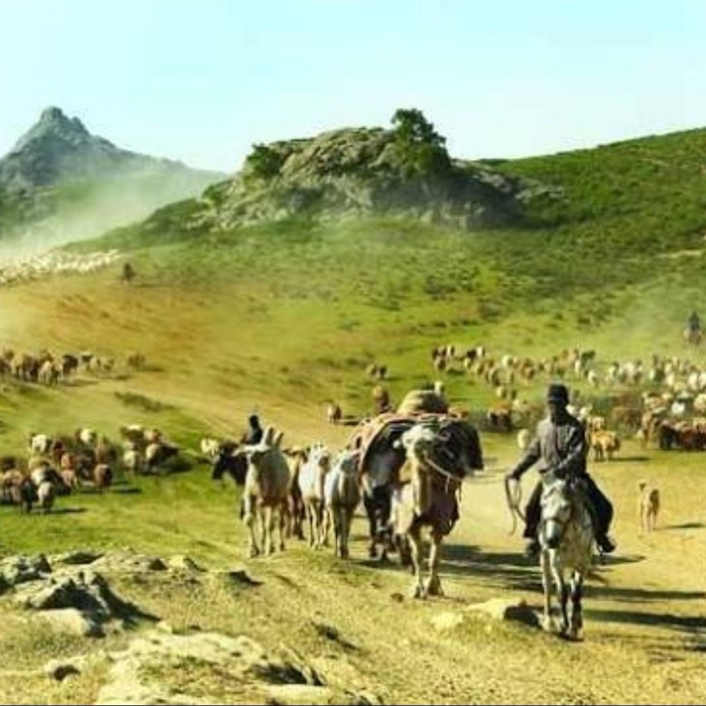 دروغی به اسم کوچ کردهای خراسان(فارسی) episode artwork