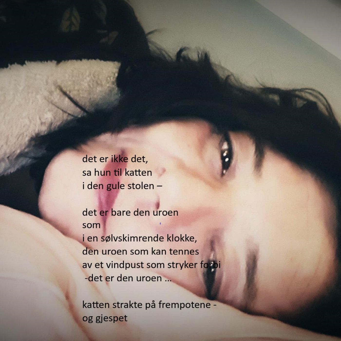 BH leser egne lengre dikt cover art