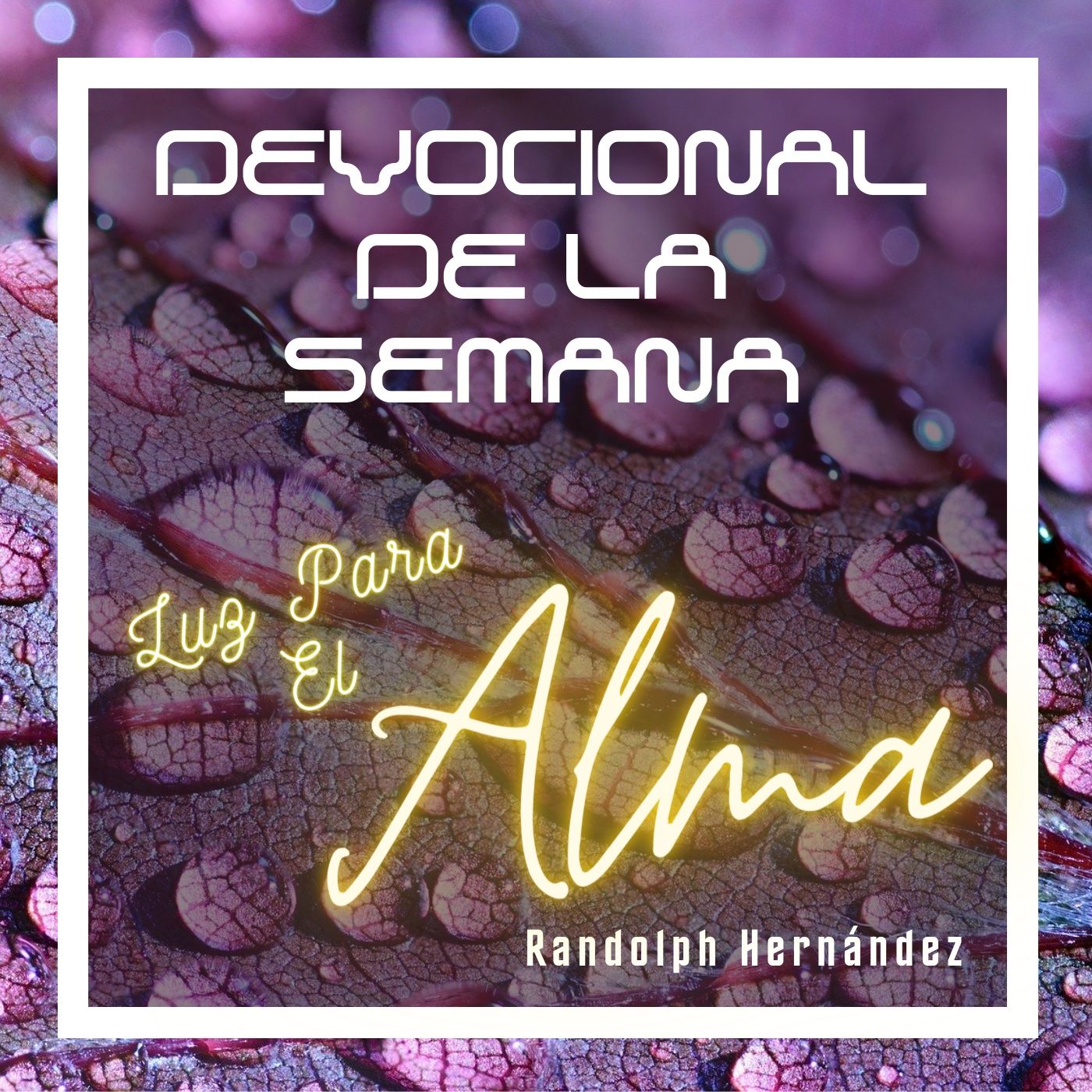 Devocional De La Semana