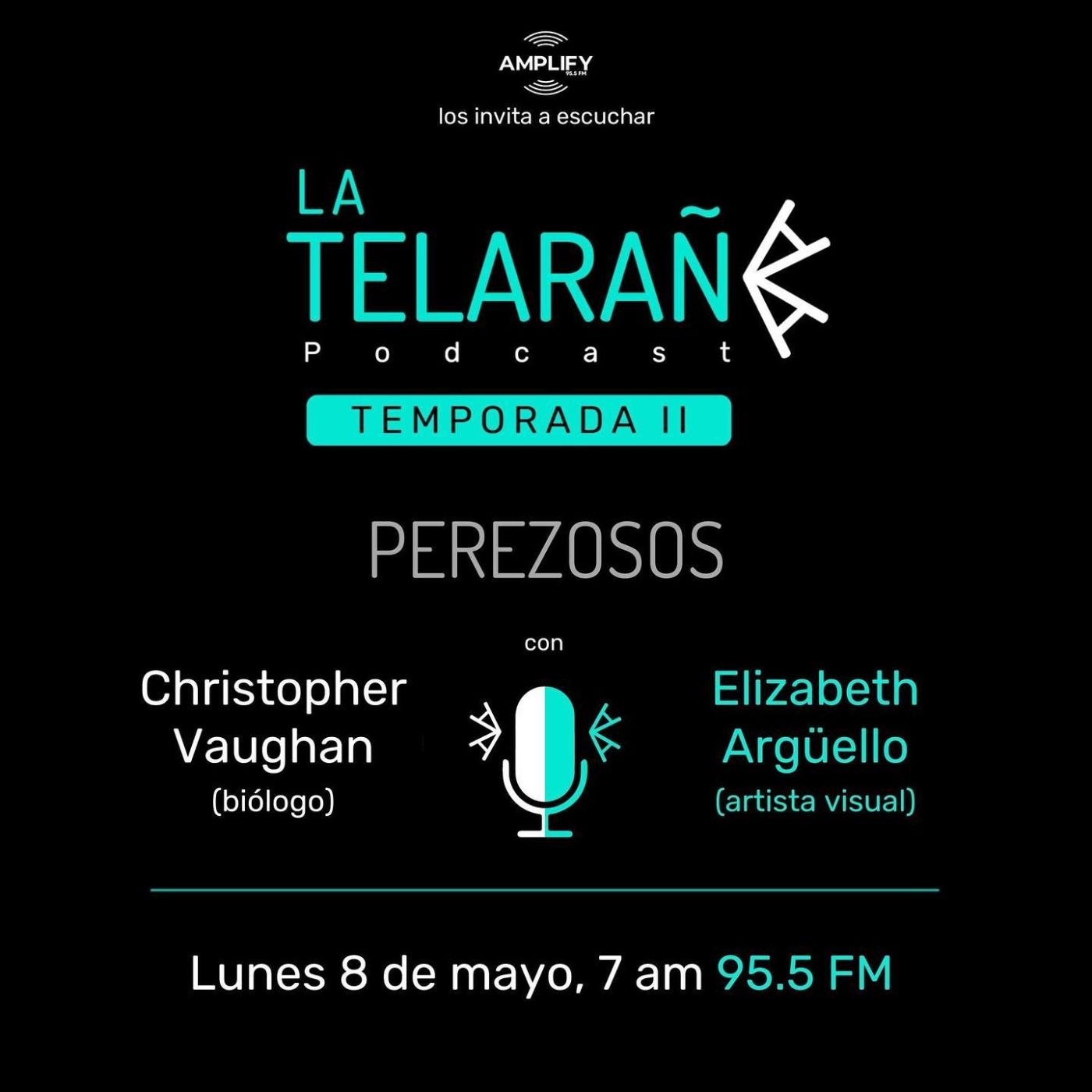 Portada de La Telaraña