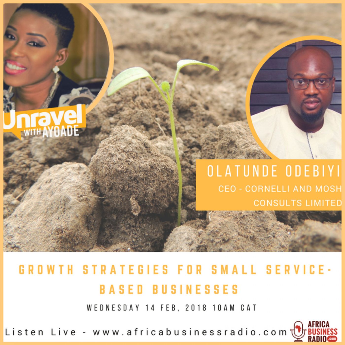 Growth Strategies For Small Businesses in Nigeria - Olatunde Odebiyi