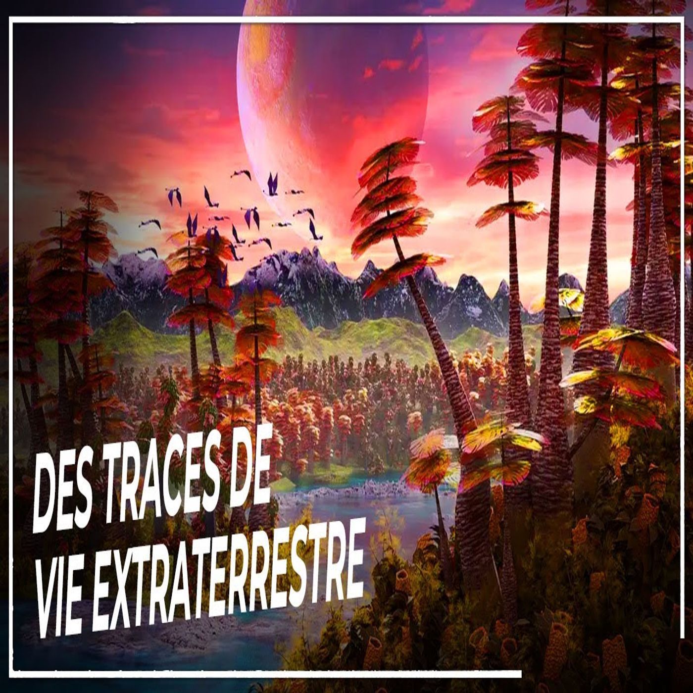 Orbinéa Le Monde des Odyssées| Documentaire Podcast Histoire pour dormir Livre Audio Enfant & Adulte