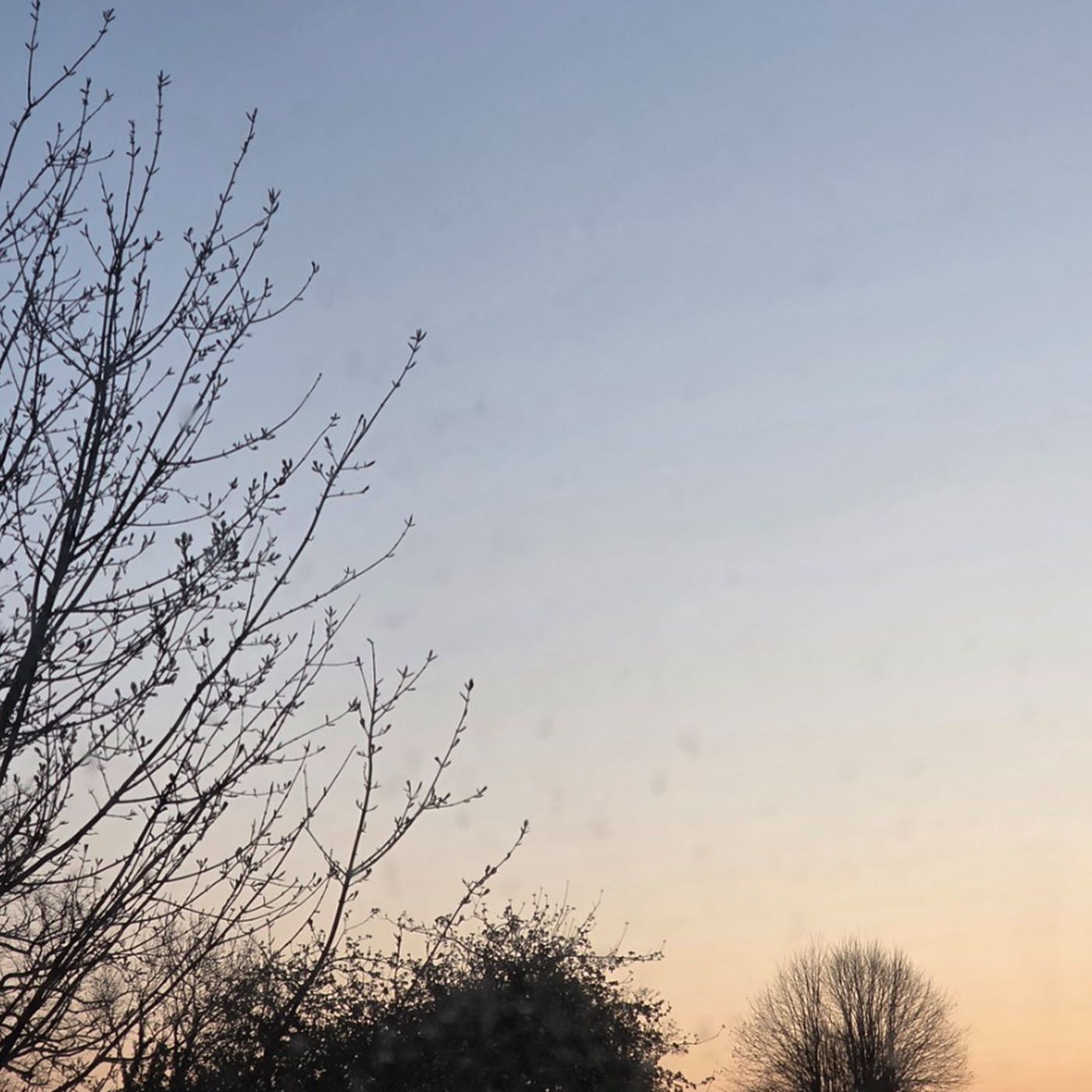 Dawn Chorus E698 episode artwork