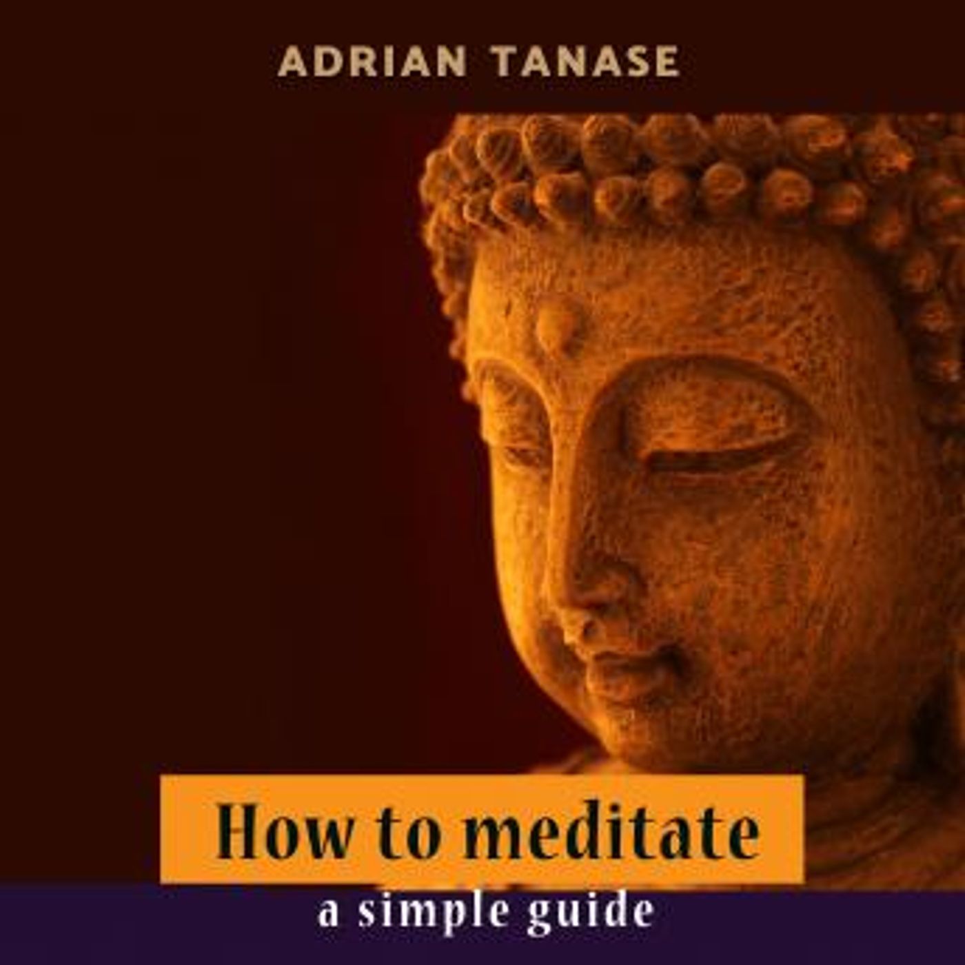 Download New Full Audiobooks in Health & Wellness, Mindfulness & Meditation