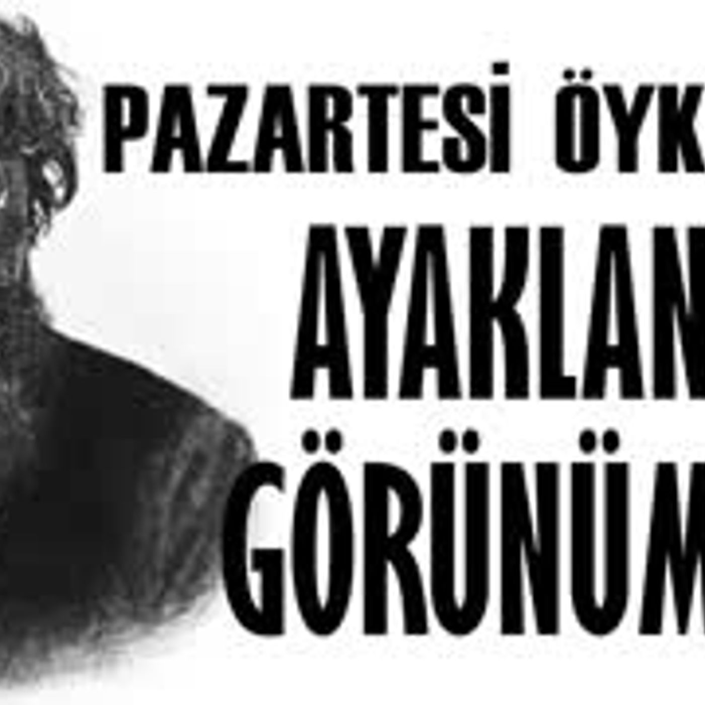 Ayaklanma Görünümleri  Pazartesi Öyküleri Alphose Daudet sesli kitap