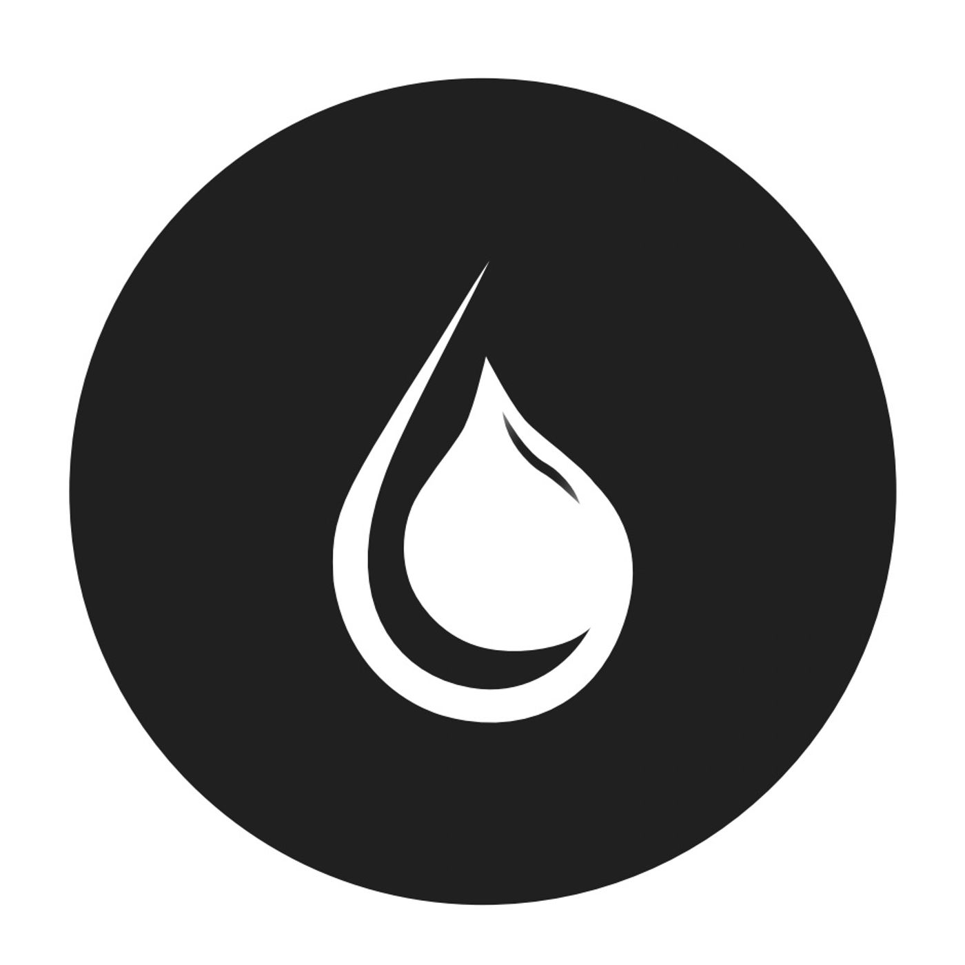 Il succo del discorso cover art