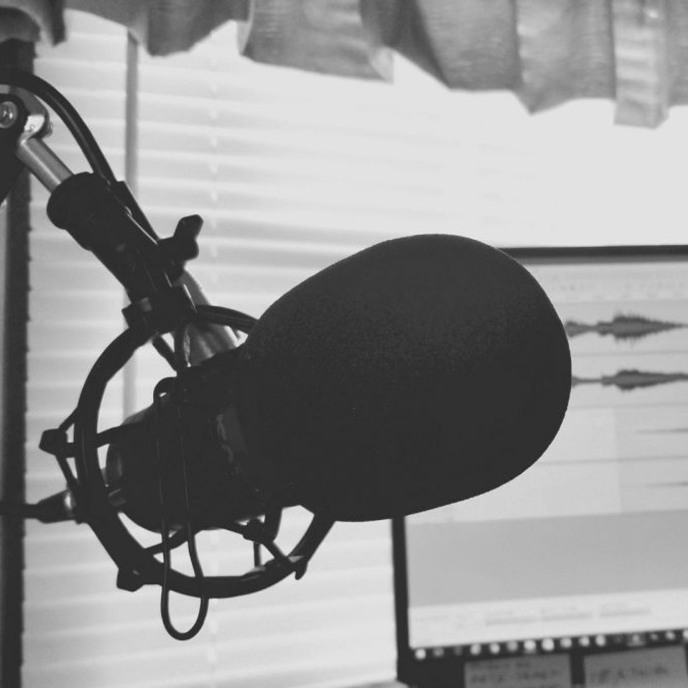 L'ENRICO: il podcast podcast artwork