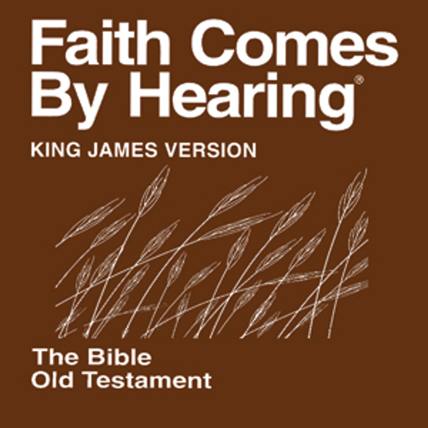 hearing KJV audio Bible