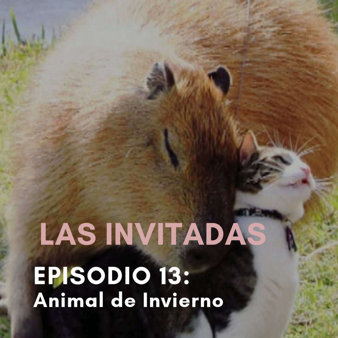 Las Invitadas
