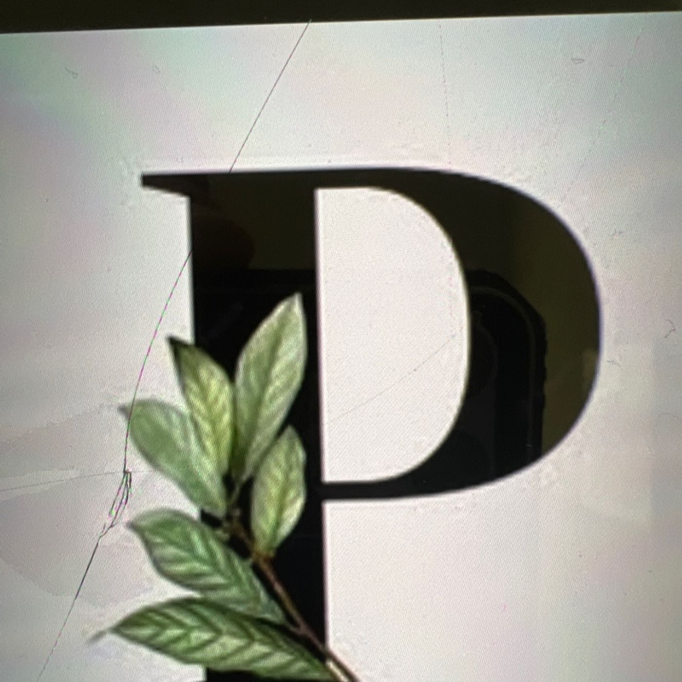 Legionarivs Mindset-USQUE AD FINEM