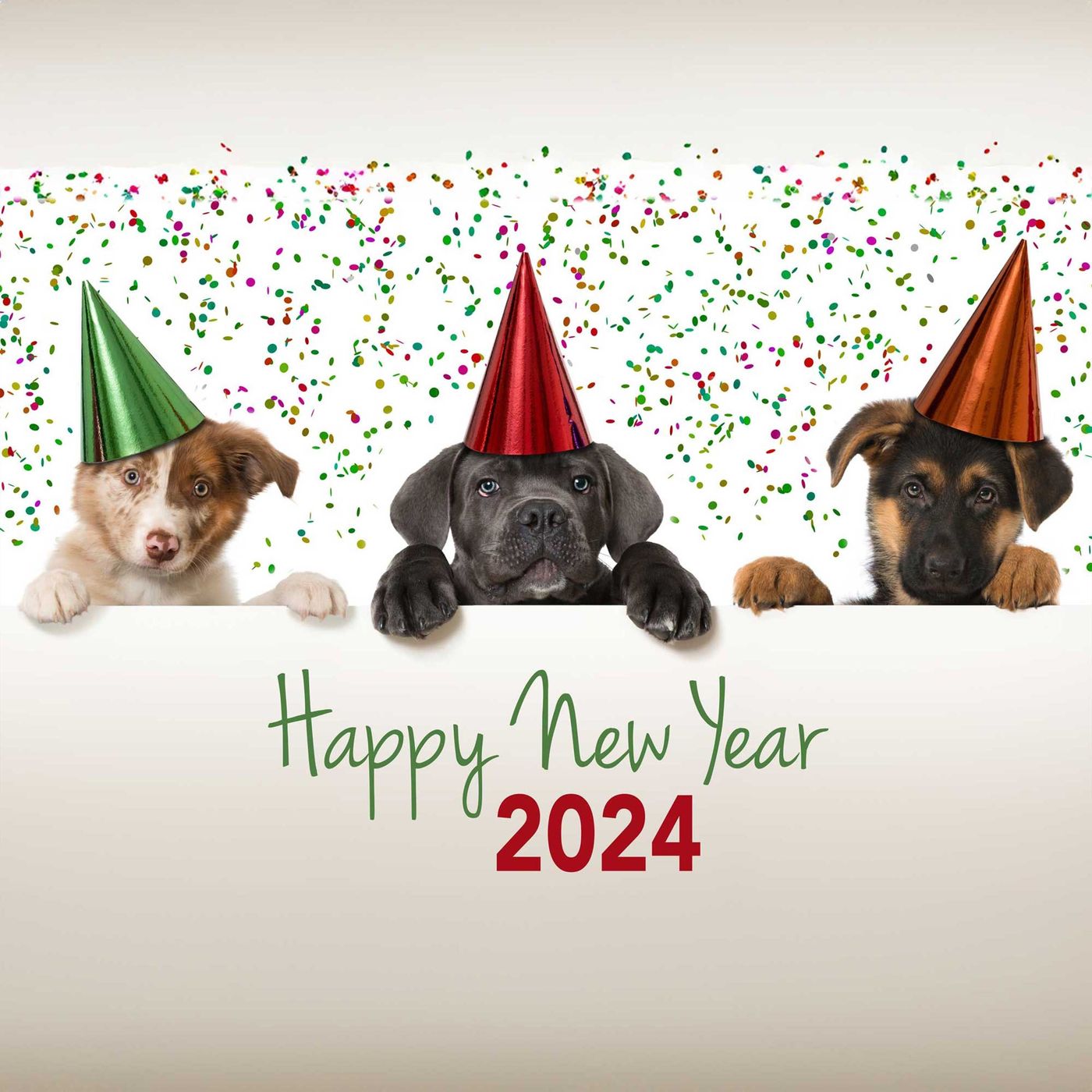 Black Lincoln Collective Podcast