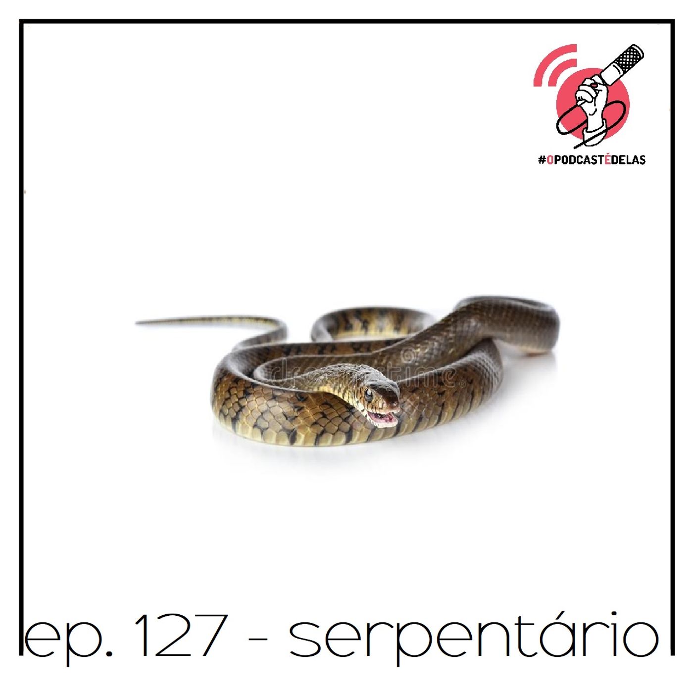 Serpentário - Quarta Parede #127