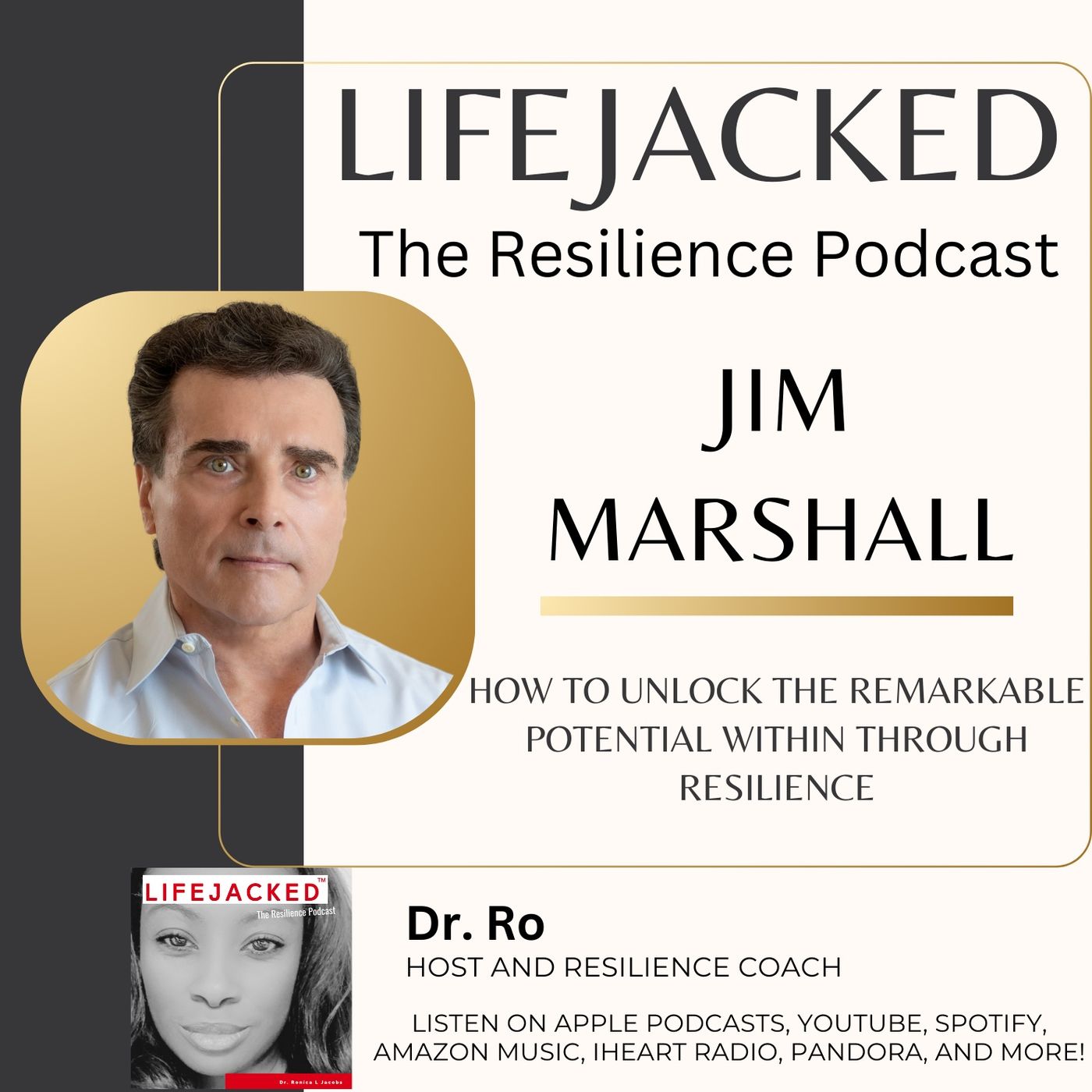 Lifejacked: The Resilience Podcast