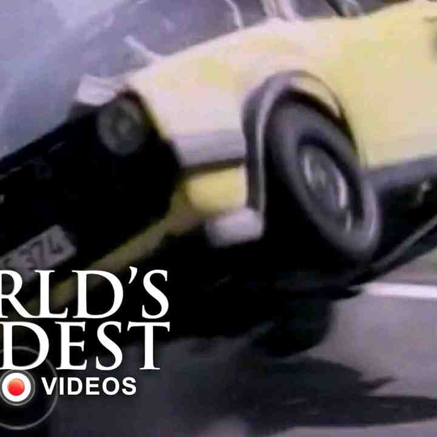 Resisting Arrest _ World_s Wildest Police episode artwork