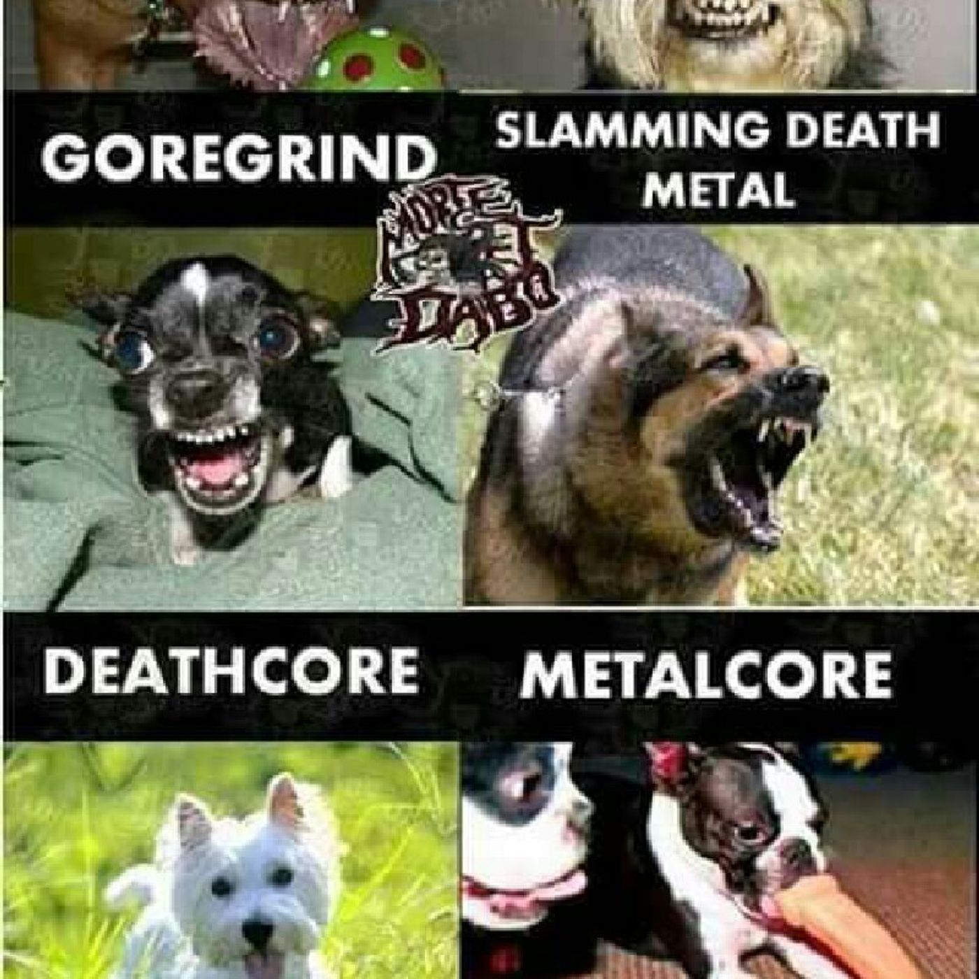 Mas Deathcore episode artwork