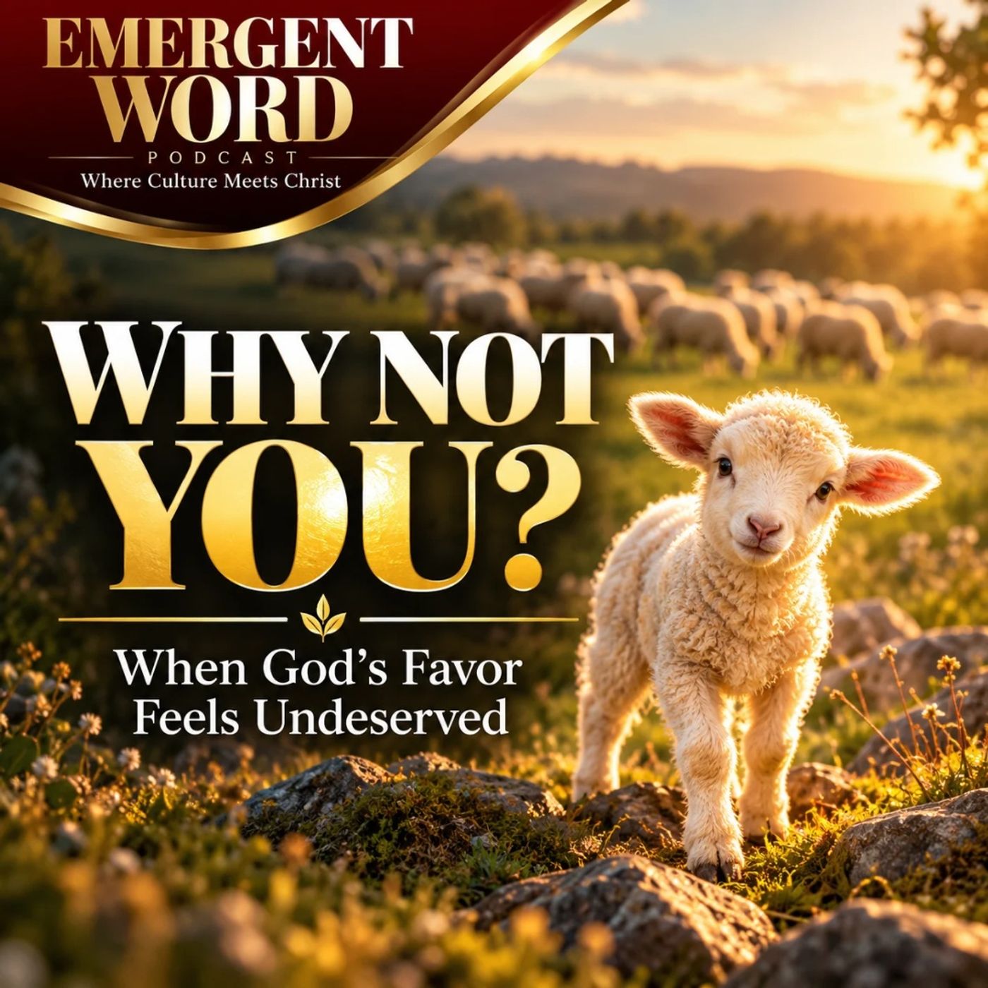 Why Not You? When God's Favor Feels Undeserved episode artwork