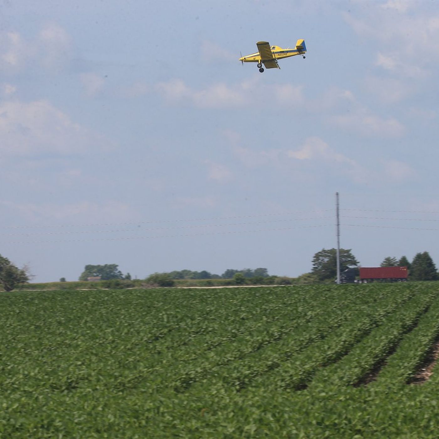 Crop report: More rain delays La Salle County harvest, June 29-July 5 episode artwork