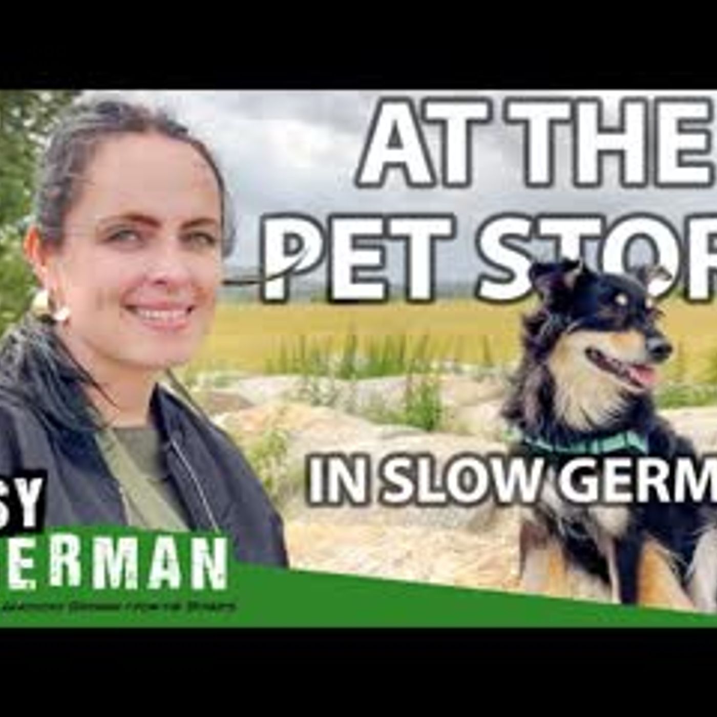 At the Pet Store in Slow German   Super Easy German 261