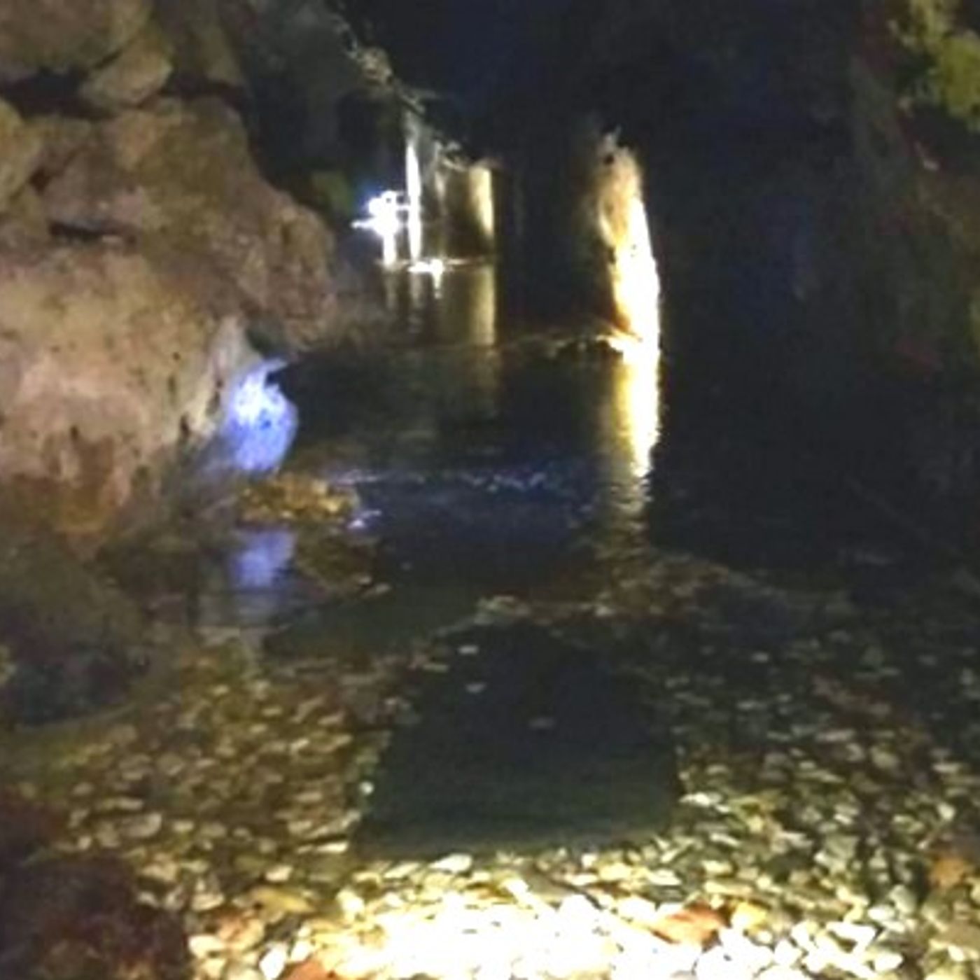 Tracce di Domenico Tota