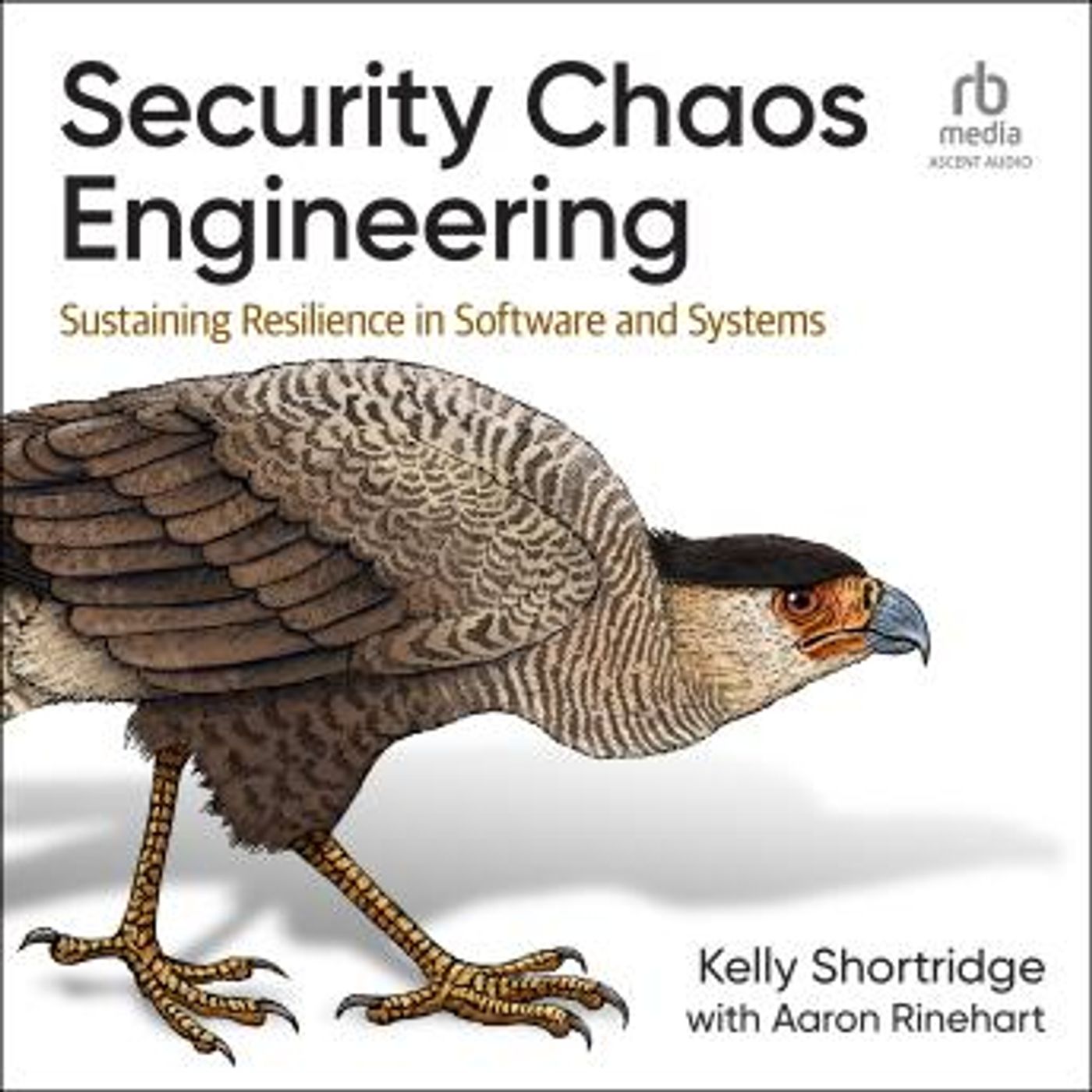 Download High-Quality Full Audiobooks in Non-Fiction, Computers & Technology