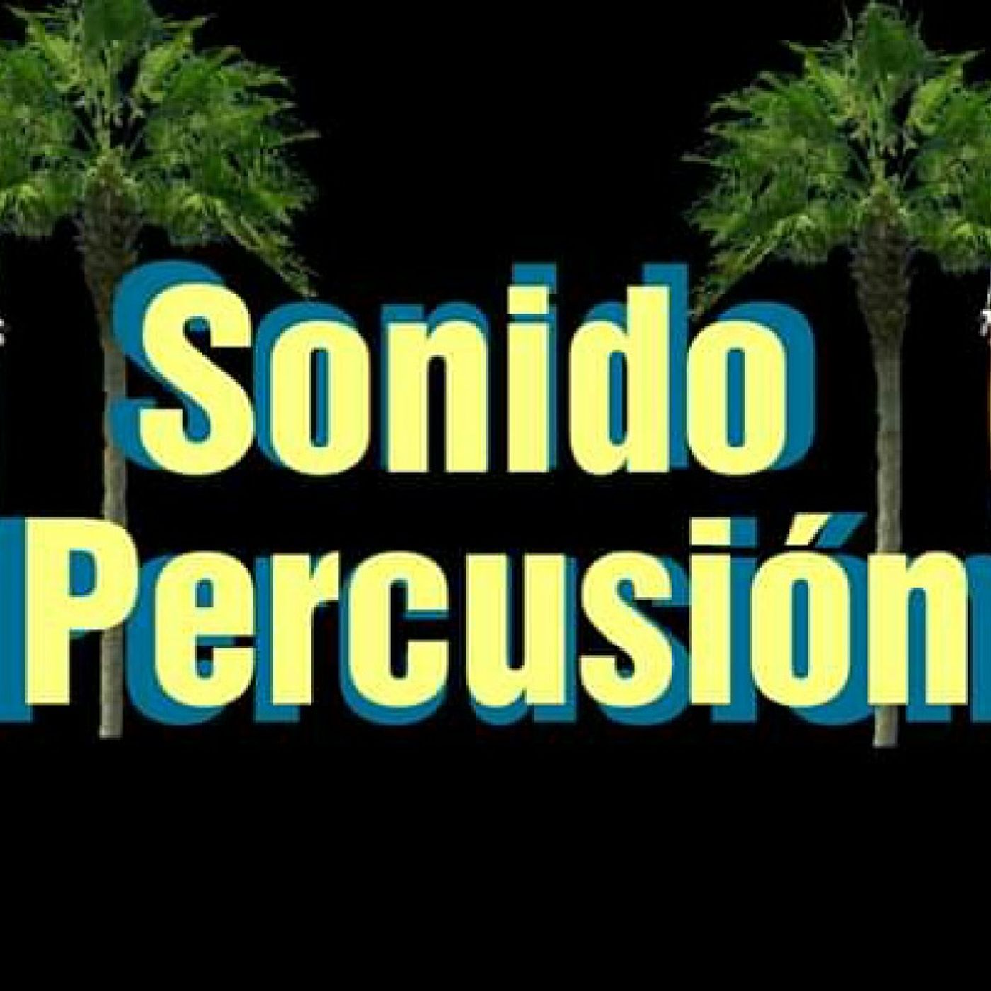 El show de Sonido Percusión