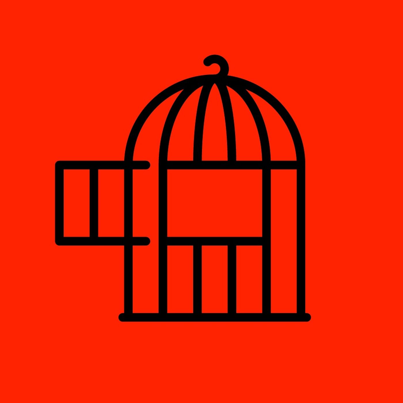 Entrevistas Hacktivistas