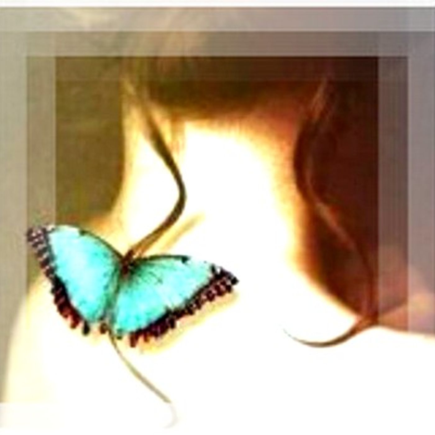 Tracce di Domenico Tota