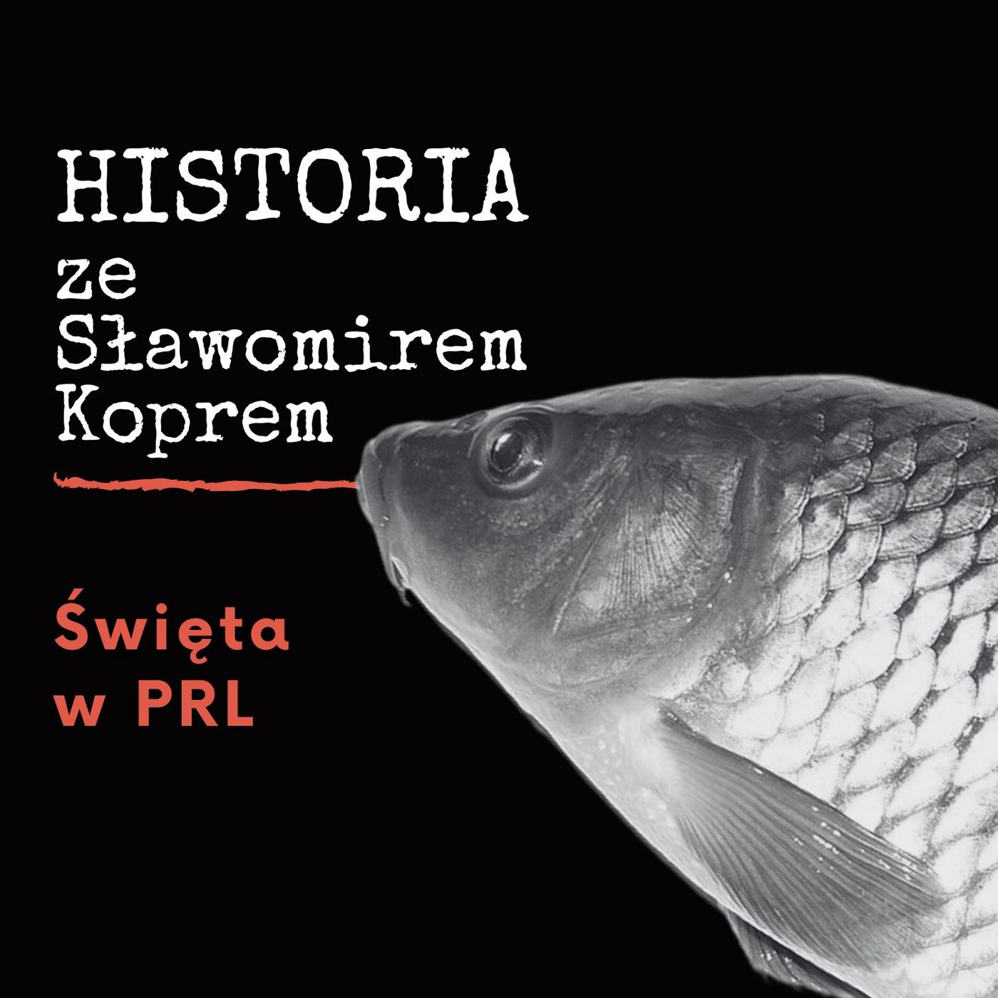 Historia ze Sławomirem Koprem
