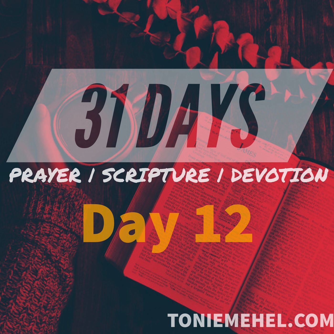 31 Days of Prayer, Scripture and Devotion | Meanwhile at Bethesda episode artwork