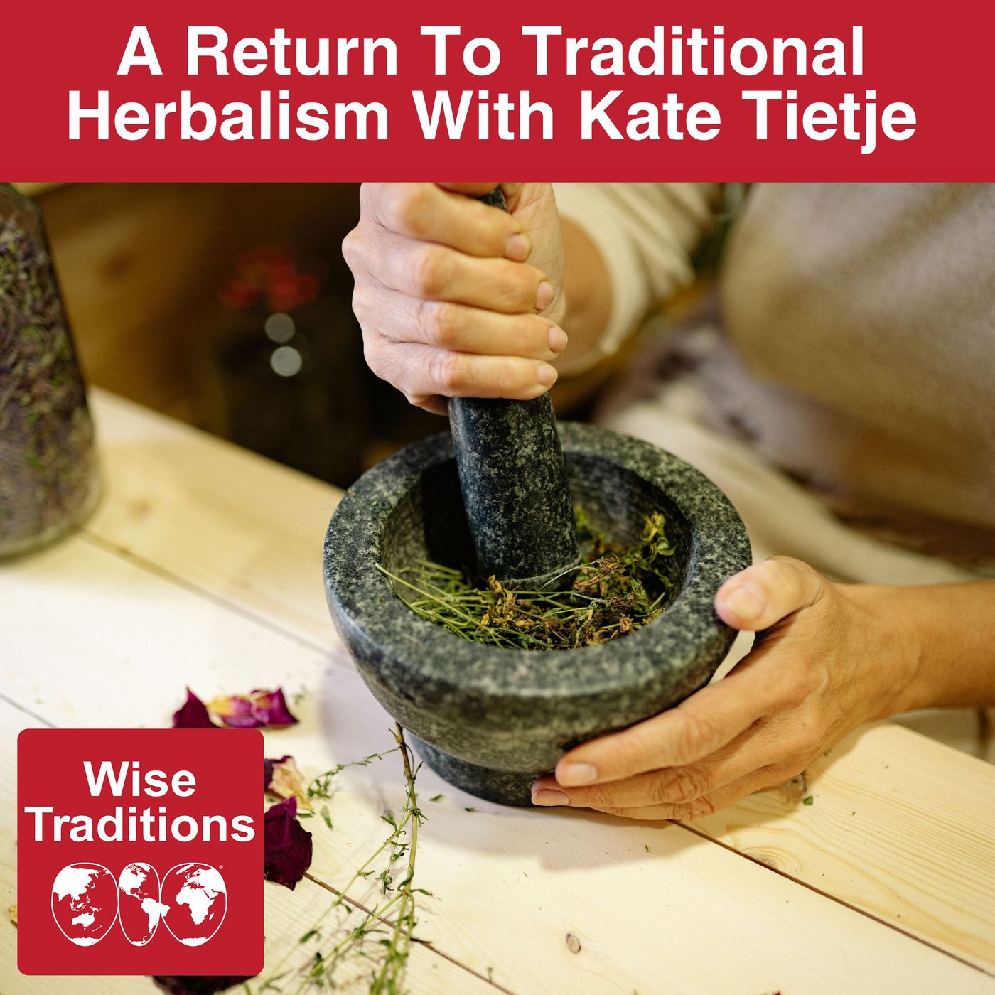 586: A Return To Traditional Herbalism With Kate Tietje — Wise Traditions cover