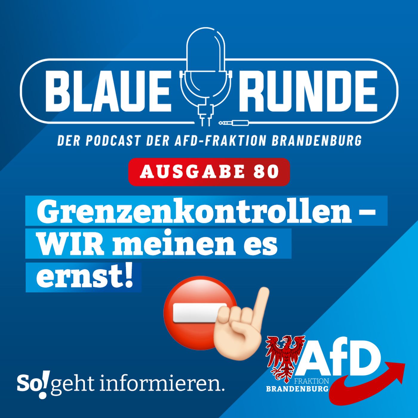 Grenzsicherung: WIR meinen es ernst! | Die BLAUE RUNDE, Ausgabe 80/23 vom 29. September 2023 episode artwork