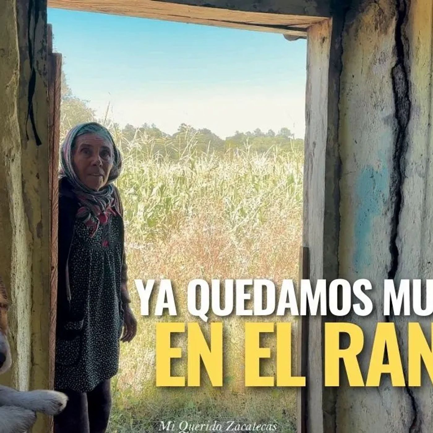 “GRACIAS A DIOS SUS HIJOS NO LA DEJAN SOLA”